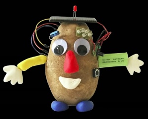 Potato-head.jpg